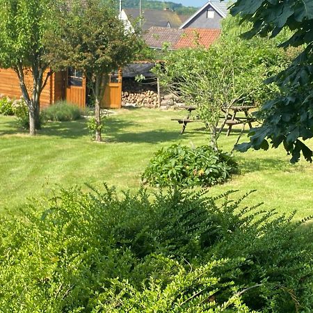 Maison 6 Personnes Avec Piscine Privee Saulchoy エクステリア 写真